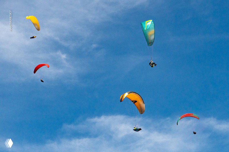 Разноцветные крылья и декабрьские полёты