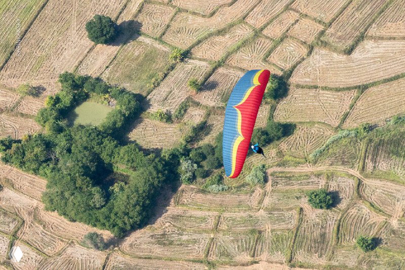 Один красно-синий параплан вид сверху над рисовыми полями и водой, кадр показывает крыло и тени на поле во время полёта.