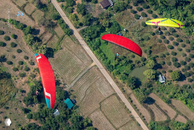 Несколько парапланов ярких цветов летят над сельским ландшафтом с дорогой и деревьями, заметна структура полей и зелёные насаждения.