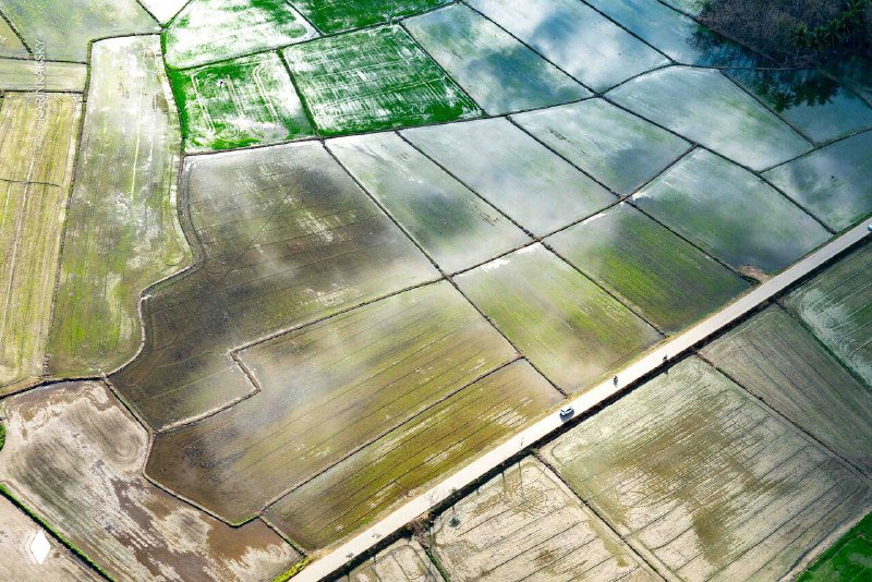 Отражённые в воде поля и дорога с людьми на обочине, вид с высоты при полёте парапланом — спокойный сельский пейзаж с лоскутами рисовых участков.