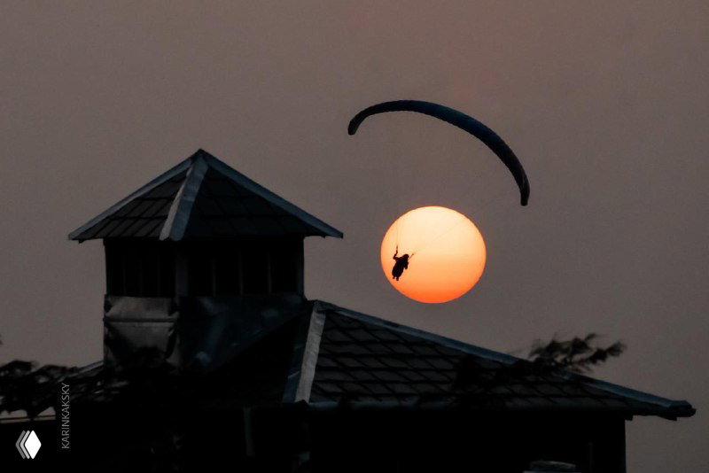 Победы @karinkasky в фотоконкурсе ОФСЛА России