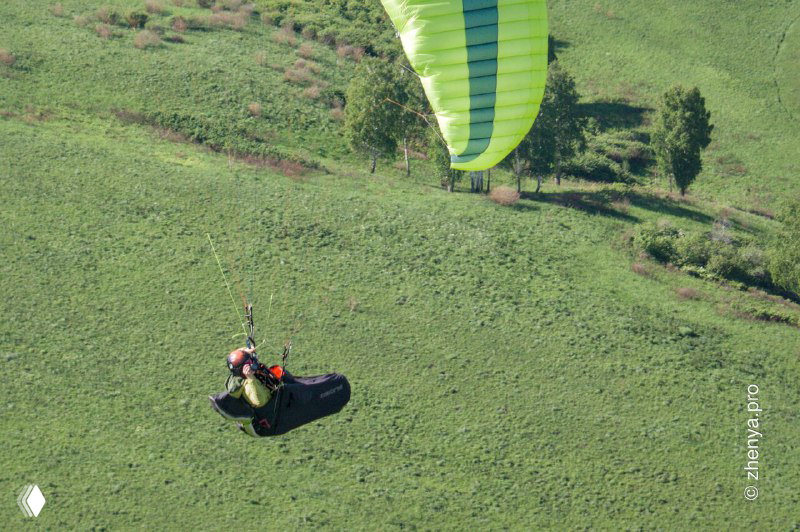 Вид сверху: параплан над зелёным полем, пилот в подвесной системе — спокойный спортивный кадр, раскрывающий работу в воздухе.