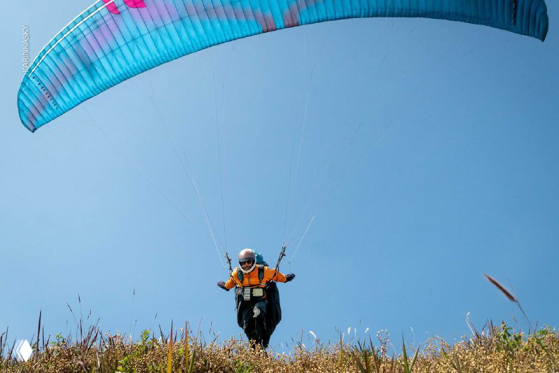 Парапланист начинает запуск со склонa: раскрыто голубое крыло, травянистый склон и открытый простор перед полётом в тропической местности.