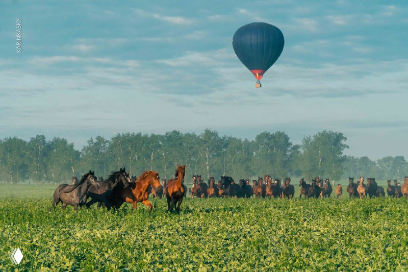 Что чувствуешь в полёте на воздушном шаре?