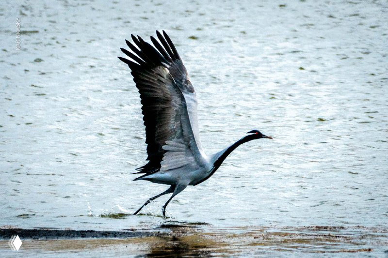 Мифы о парапланеризме, мешающие начать