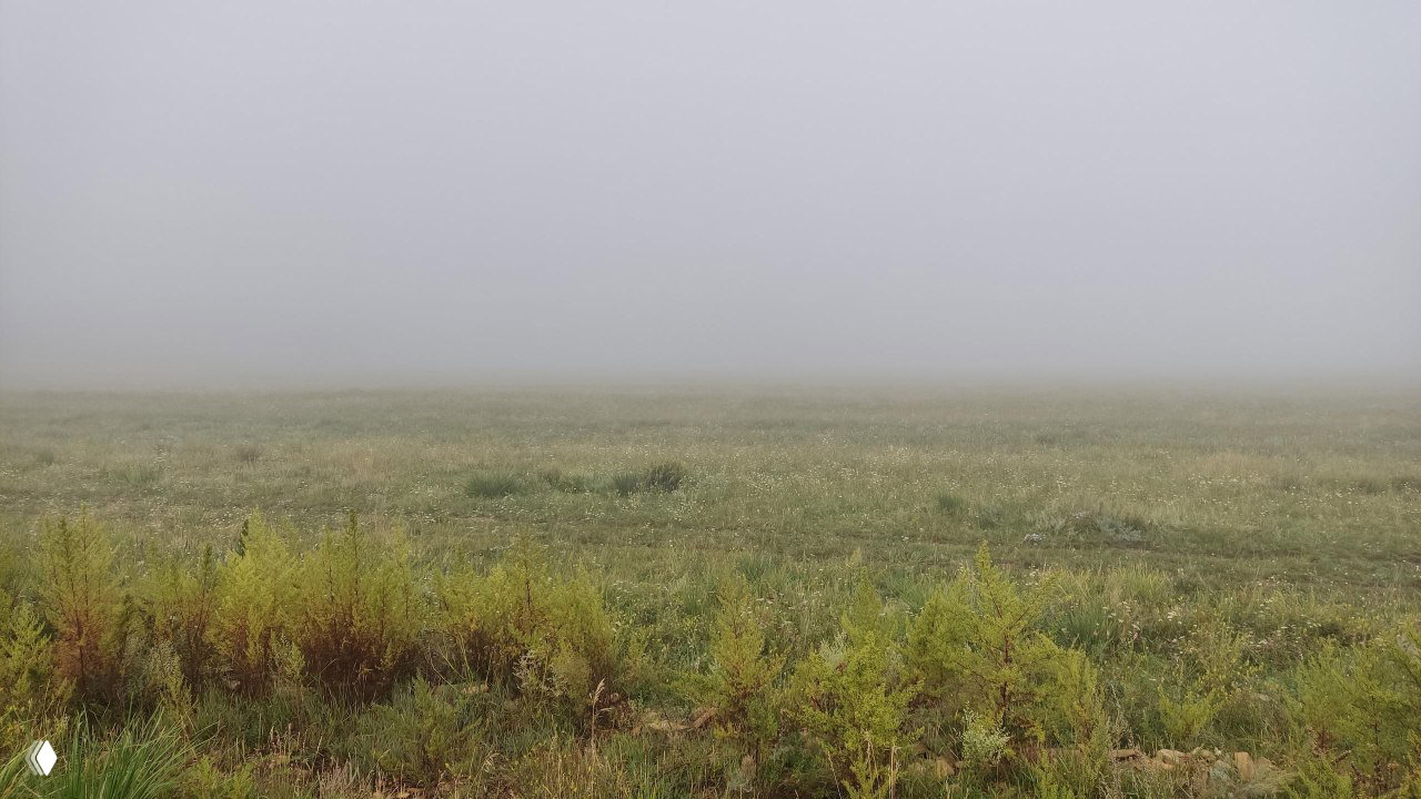 Туманное утро на степном поле Хакасии: плотный низкий туман, едва различимые силуэты горизонта и влажная трава на переднем плане.