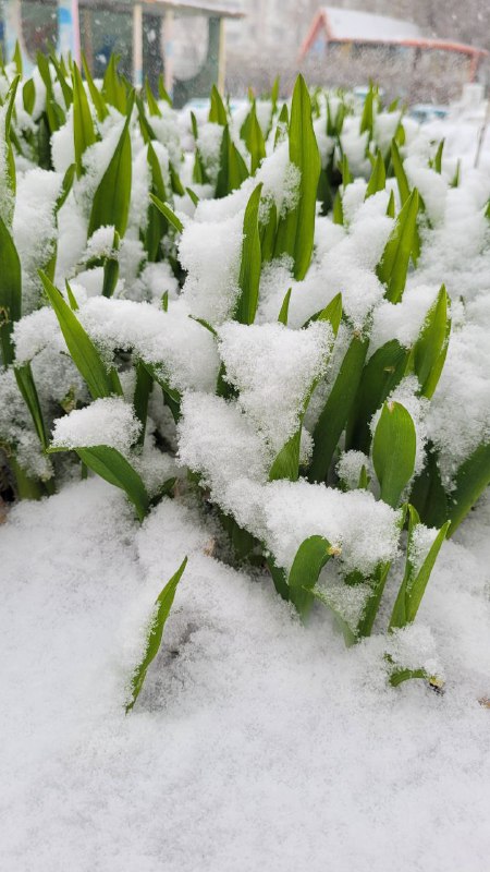 В моменте...