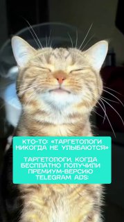 Улыбающийся кот с закрытыми глазами; бирюзовый текстовый блок сообщает о таргетологах и премиум-версии Telegram Ads — превью поста о медиаформатах.