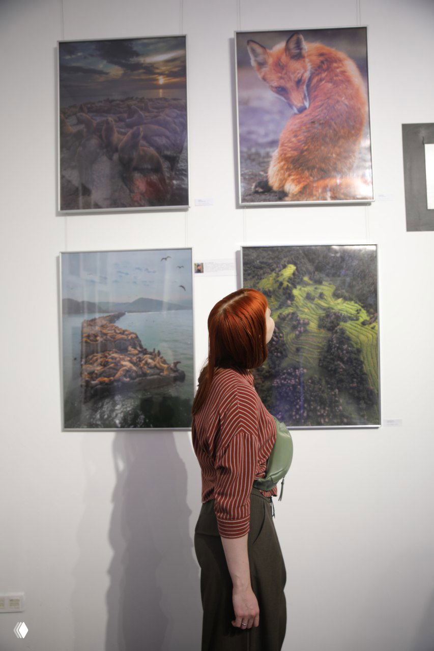 Посетительница внимательно рассматривает крупноформатные печатные фотографии природы и береговой линии Сахалина, висящие на белой стене галереи.