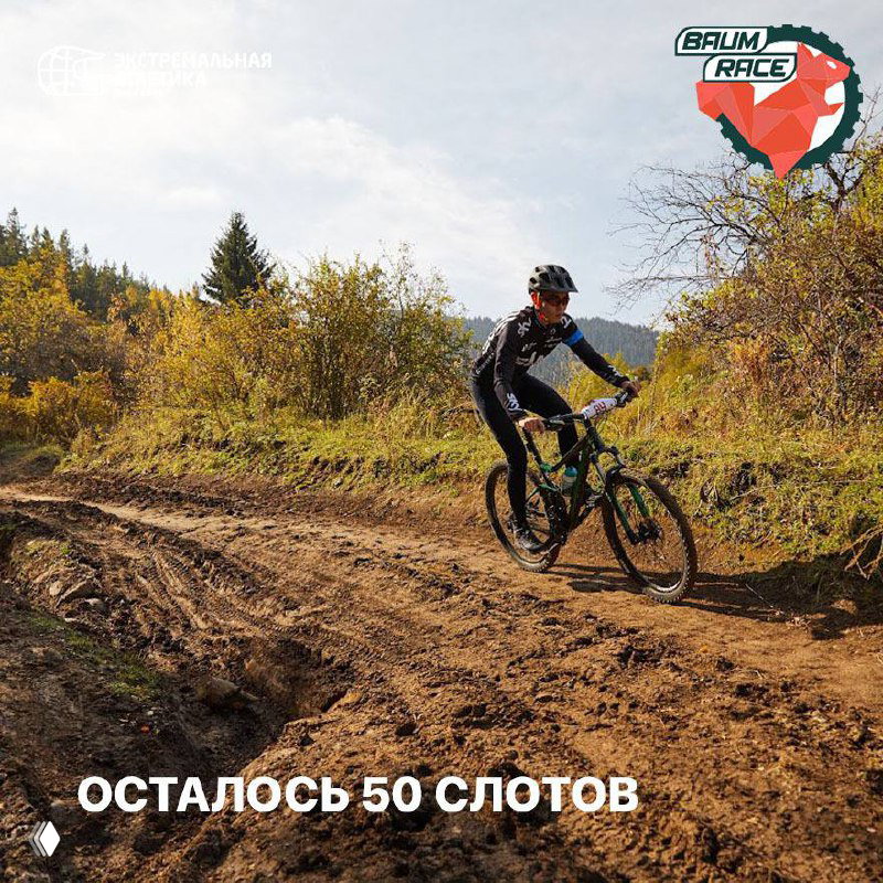 ОСТАЛОСЬ 50 СЛОТОВ