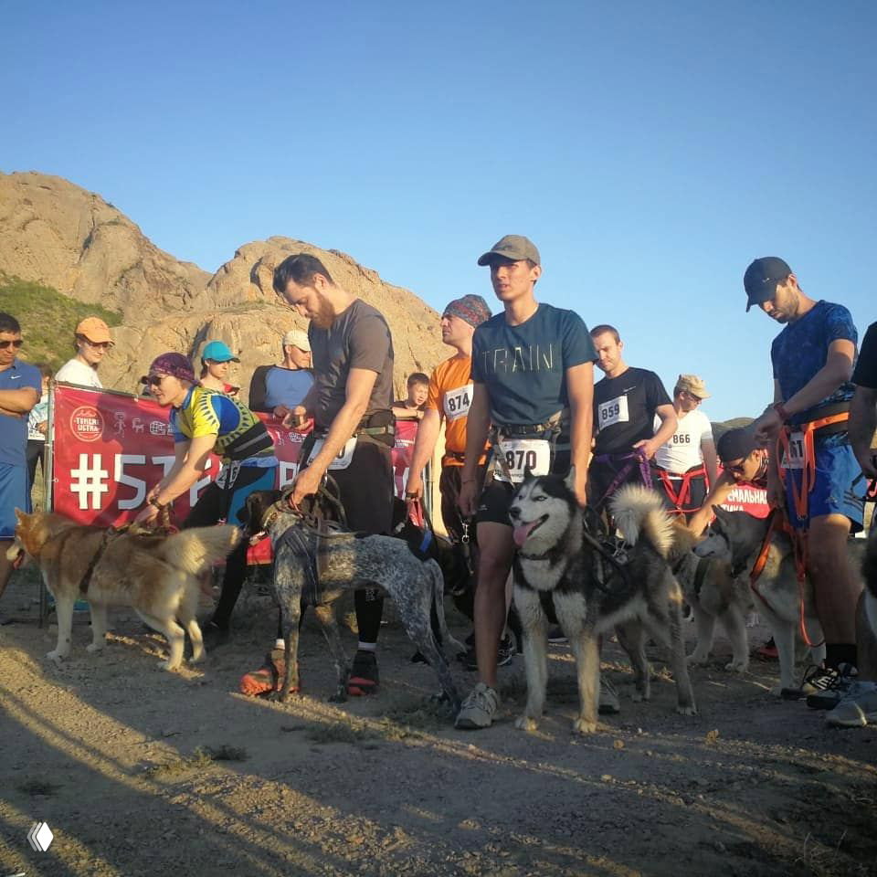 Каникросс на Tengri Ultra — бег с собаками