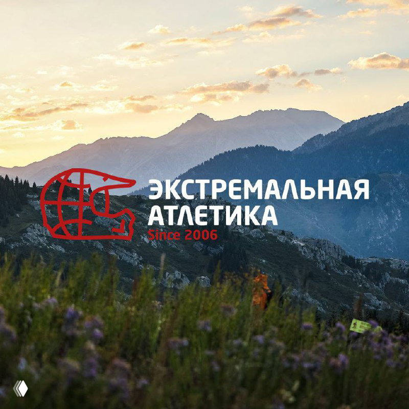 Горный пейзаж на рассвете с цветами на переднем плане и крупным логотипом «Экстремальная Атлетика», иллюстрация обновления аккаунтов.
