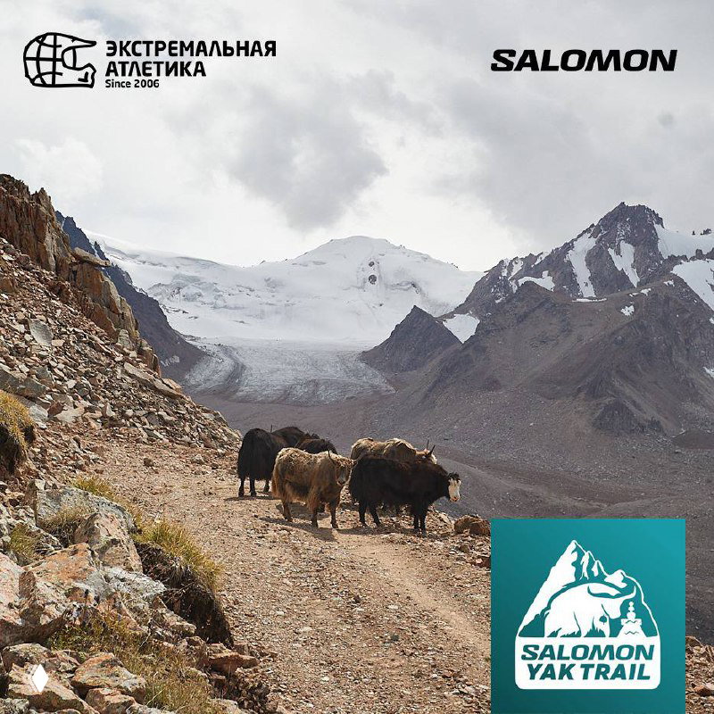 SALOMON YAK TRAIL — открыта регистрация