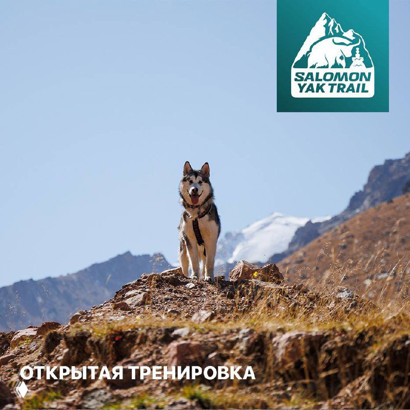 Открытая тренировка по каникроссу — 1 октября