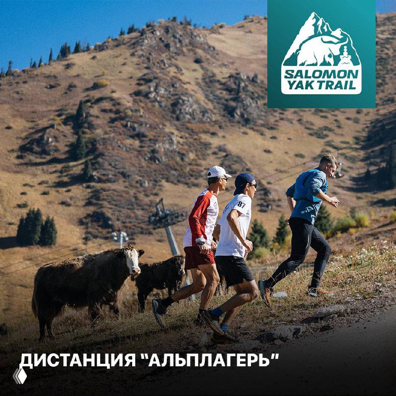 Дистанция «Альплагерь» — Salomon Yak Trail