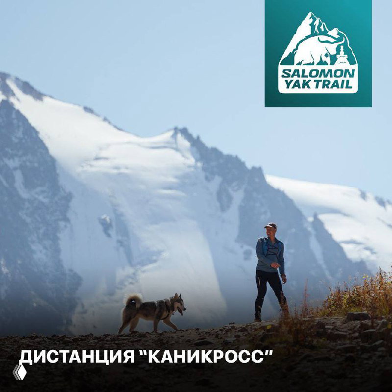 КАНИКРОСС — дистанция на SALOMON YAK TRAIL