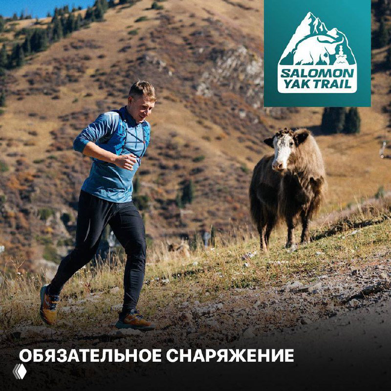 Обязательное снаряжение для Salomon Yak Trail.