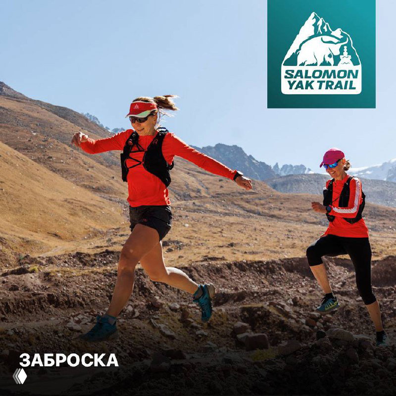 Заброска вещей на Альплагерь Туюк Су