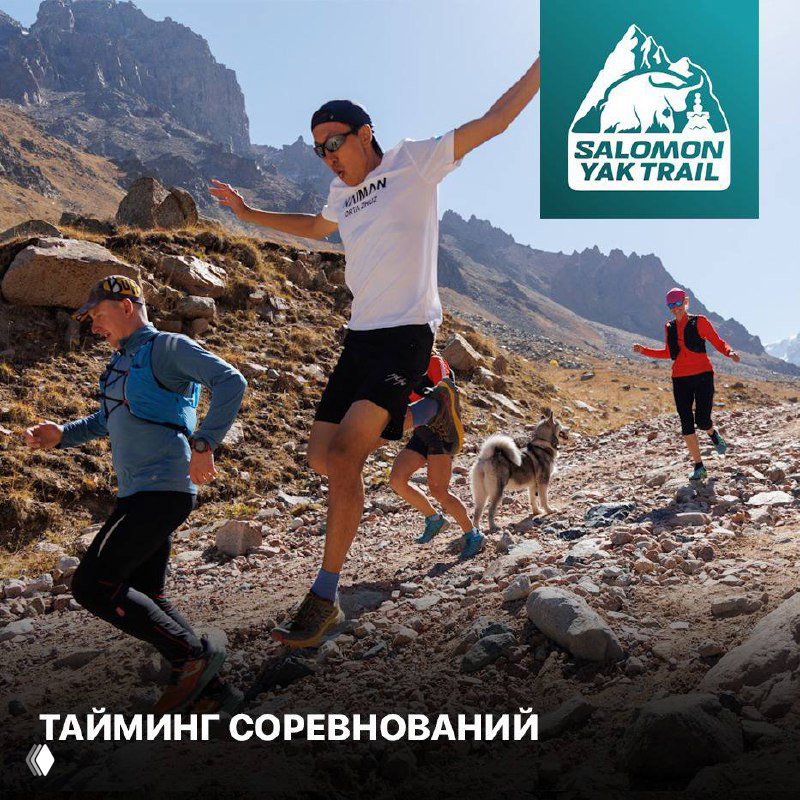 Тайминг соревнований