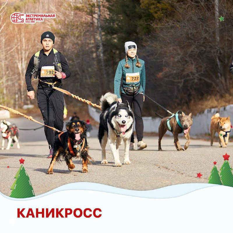 Каникросс на Центральноазиатском Новогоднем Марафоне