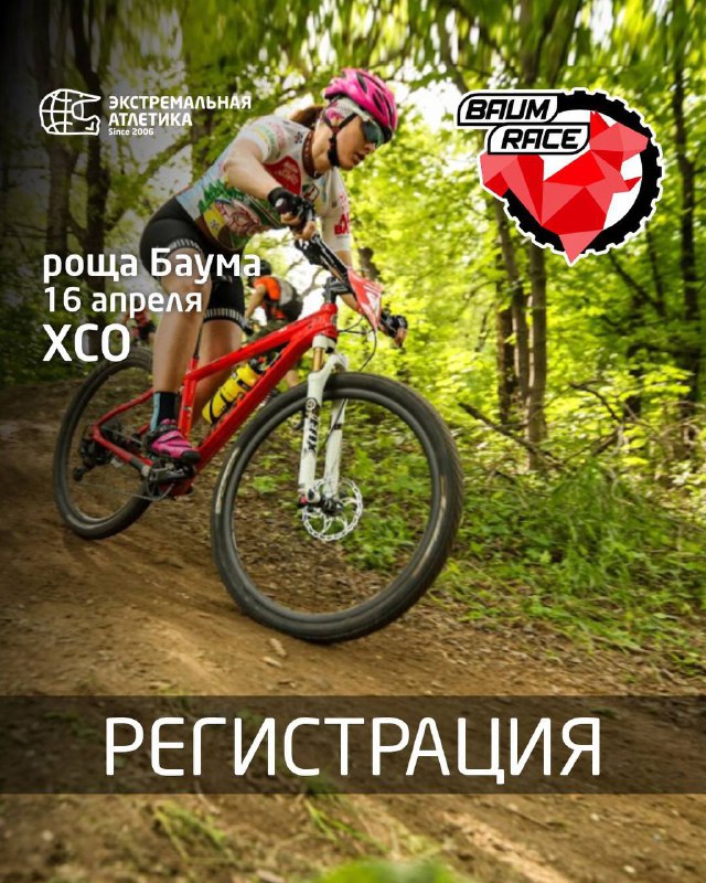 Крос-кантри в роще Баума — Baum Race