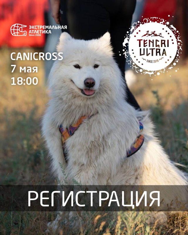 TENGRI ULTRA CANICROSS — регистрация открыта