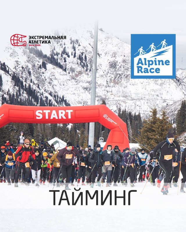 ALPINE RACE. ТАЙМИНГ