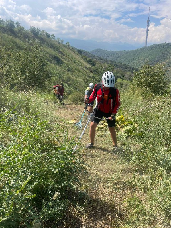 Велосипедист в шлеме проходит заросший горный участок трассы Athletex Race в Алмате, где команда проверяет техничные сегменты и тропу для гонки.