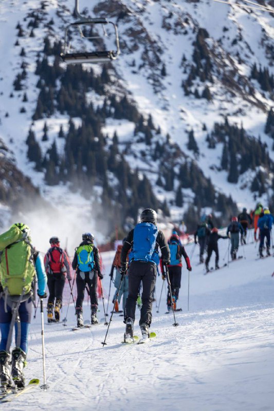 Группа спортсменов поднимается по снежному подъему: видны рюкзаки, лыжные палки и следы на склоне, хвойные горы вдали и яркое небо.