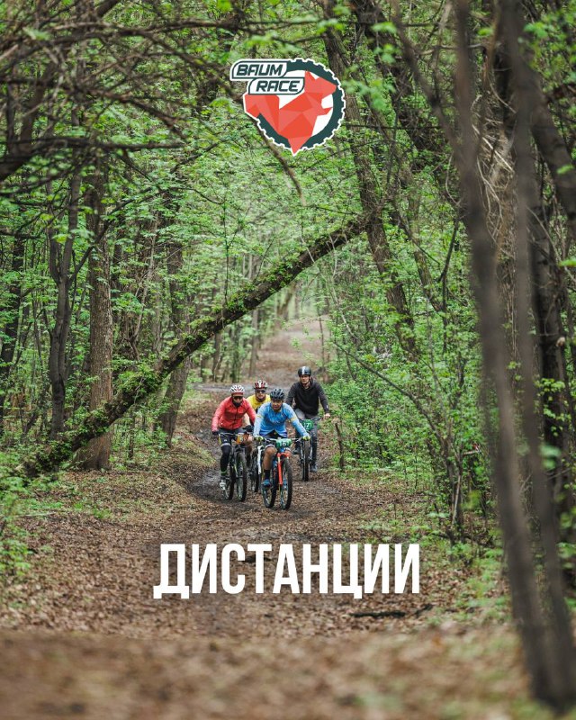 Дистанции Baum Race