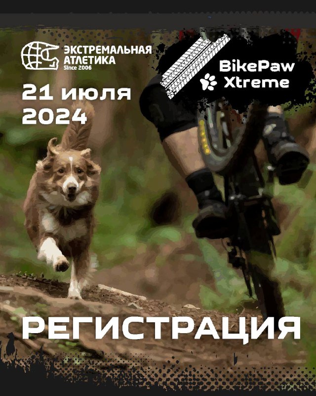 BikePaw Xtreme — гонка с собаками и велозаезды