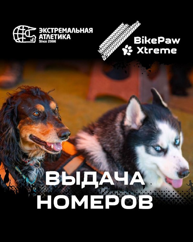 Выдача номеров и расписание BikePaw Xtreme
