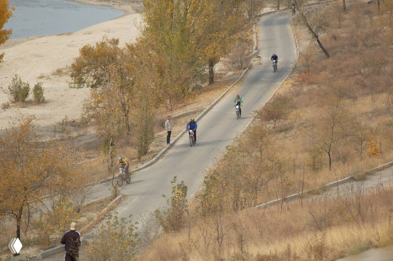 Вид сверху на извилистую дорогу вдоль берега: несколько участников едут по трассе между холмами и водоемом на фоне.