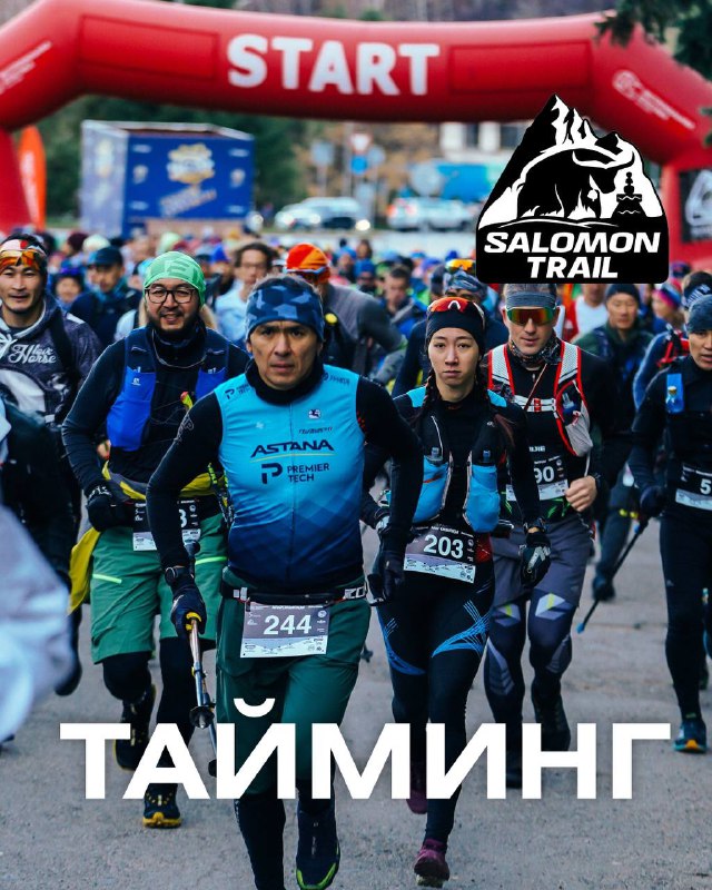 Тайминг стартов 20 октября 2024