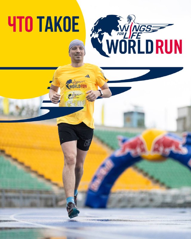 Wings for Life World Run: благотворительный забег