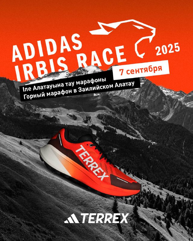 Irbis Race стала adidas Irbis Race