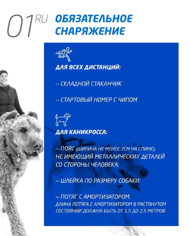 Инфографика со списком обязательного снаряжения Salomon Trail: текстовые пункты и иллюстрации для всех дистанций и каникросса