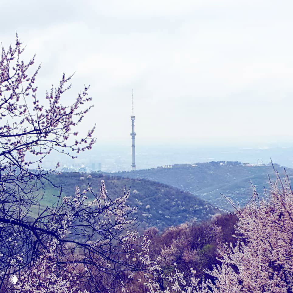 Скоро: весенние старты от «Экстремальной Атлетики»