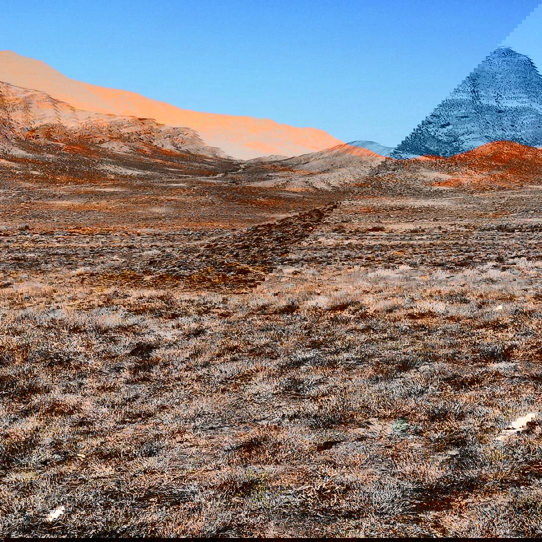 До старта Red Planet Race остались считанные часы!