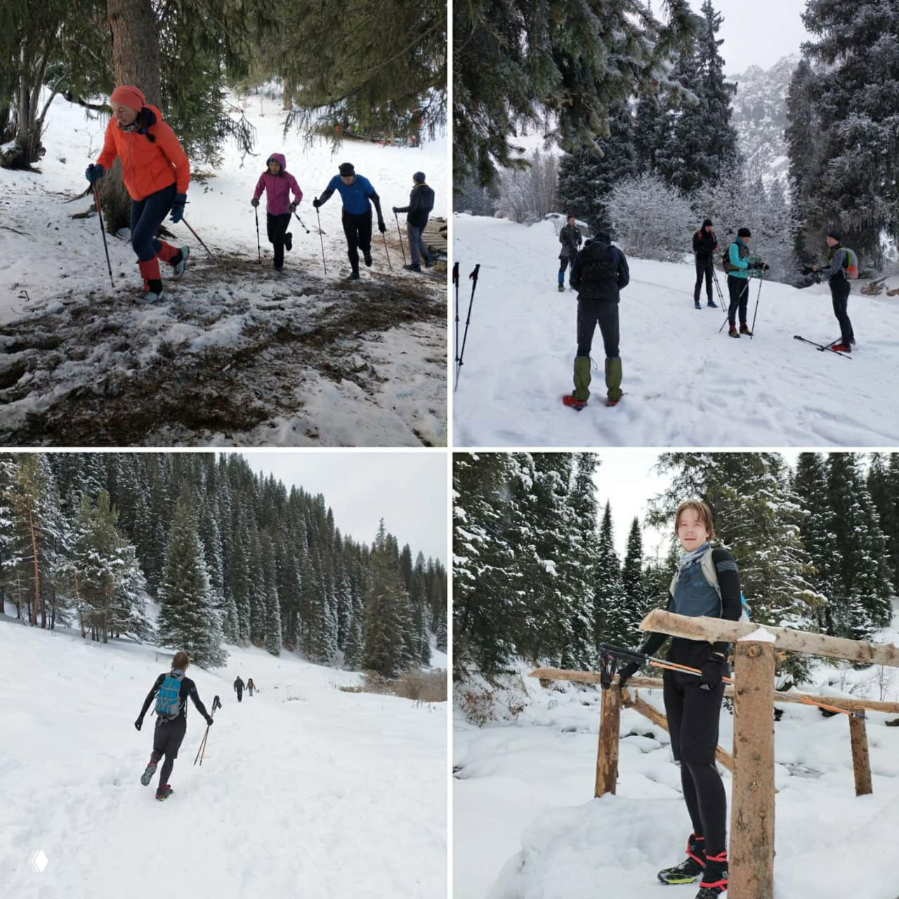 Коллаж: группа бегунов и ходоков в зимнем лесу и на перевале, участники проходят по снегу, видно хвойный лес и деревянную опору у тропы, тренировочная сессия.
