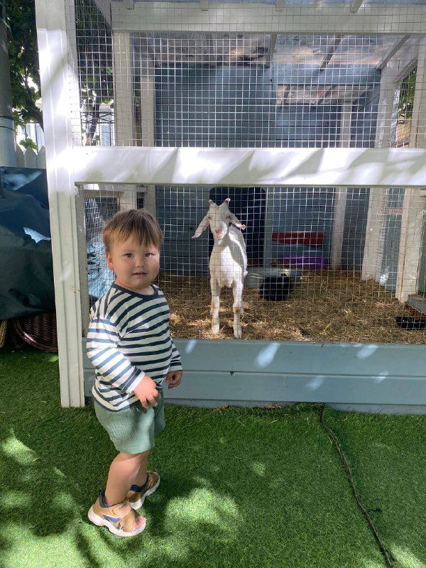 Ребёнок стоит возле огороженной игровой площадки на веранде, рядом видна клетка с кроликом или козой; летняя игровая зона для малышей в кафе.
