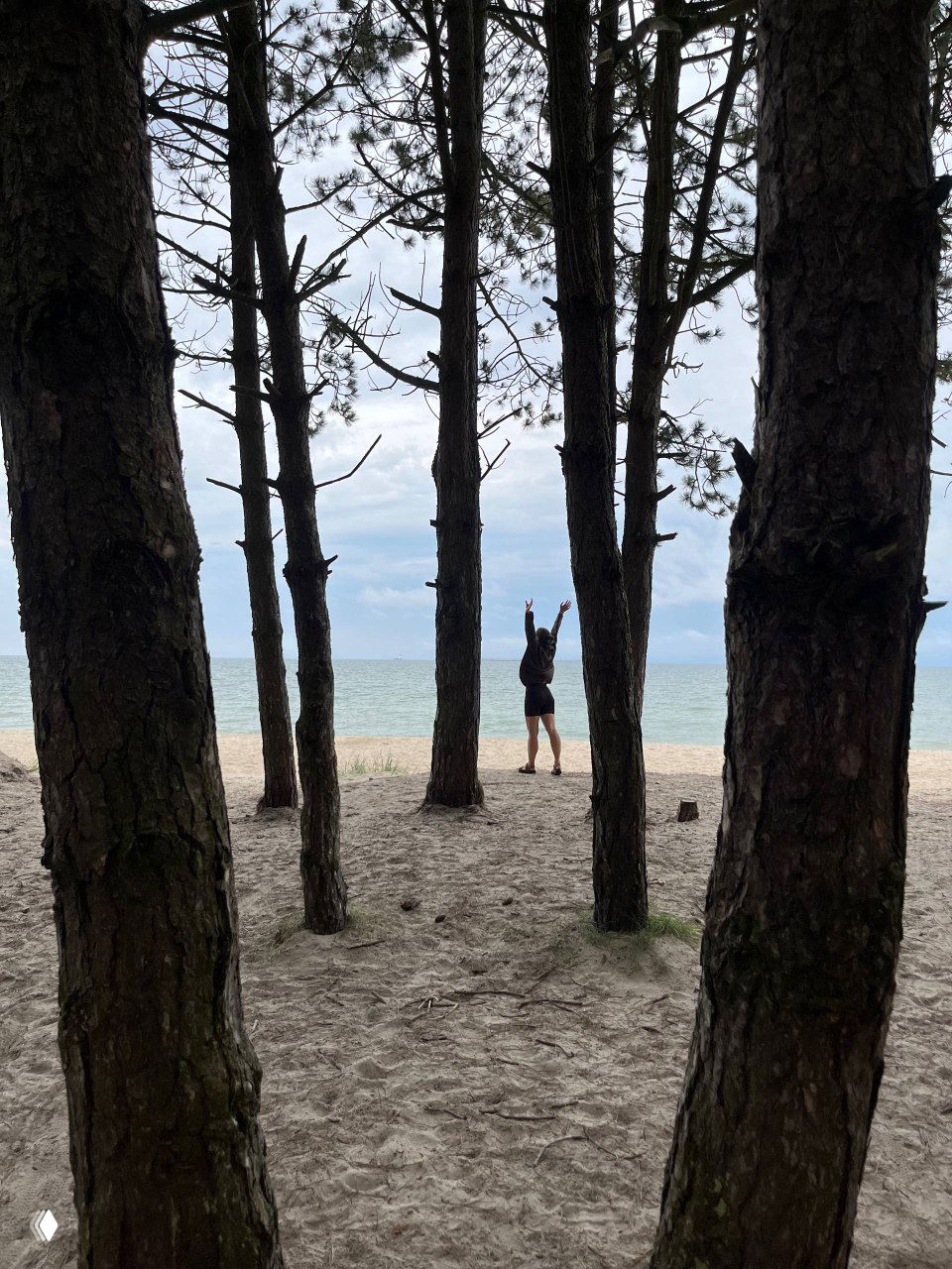 Мой идеальный выходной