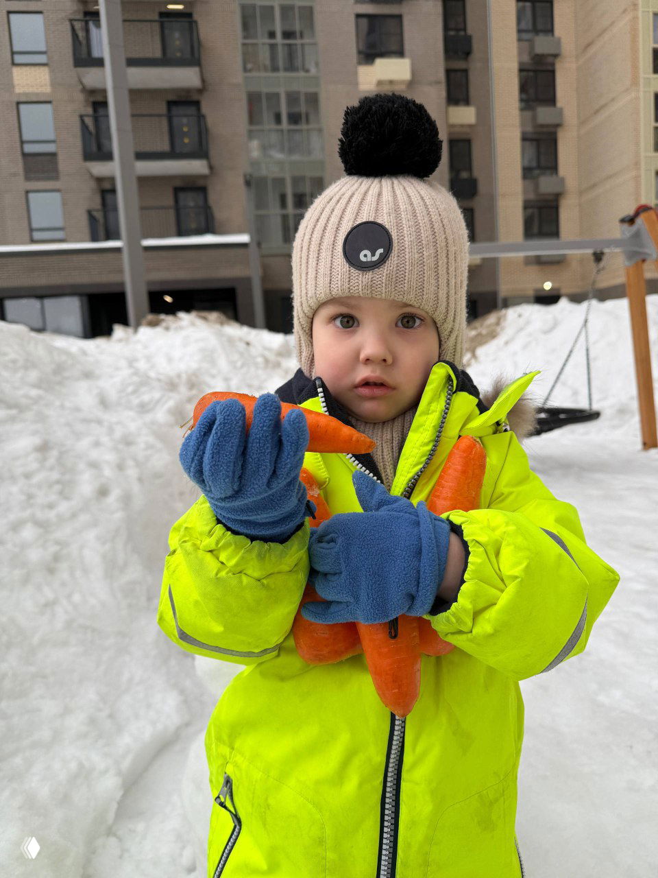 Ребёнок держит в руках несколько морковок, вероятно, использованных как носы для снеговиков, на фоне зимнего двора.