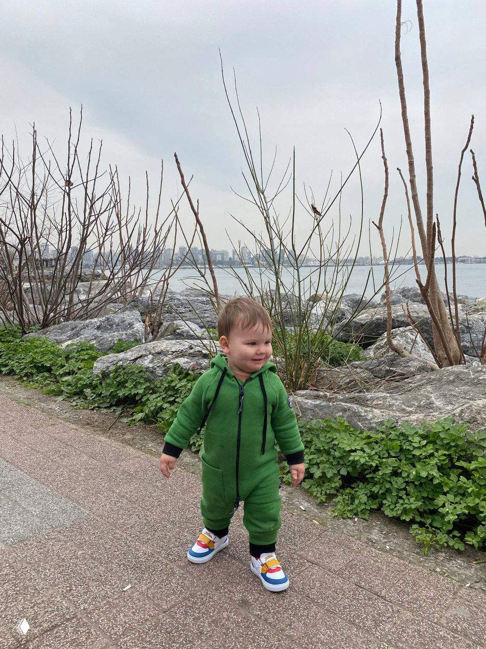 Малыш в зелёной толстовке стоит на набережной среди камней и кустов, видна серая морская гладь и облачное небо, прогулка у воды.