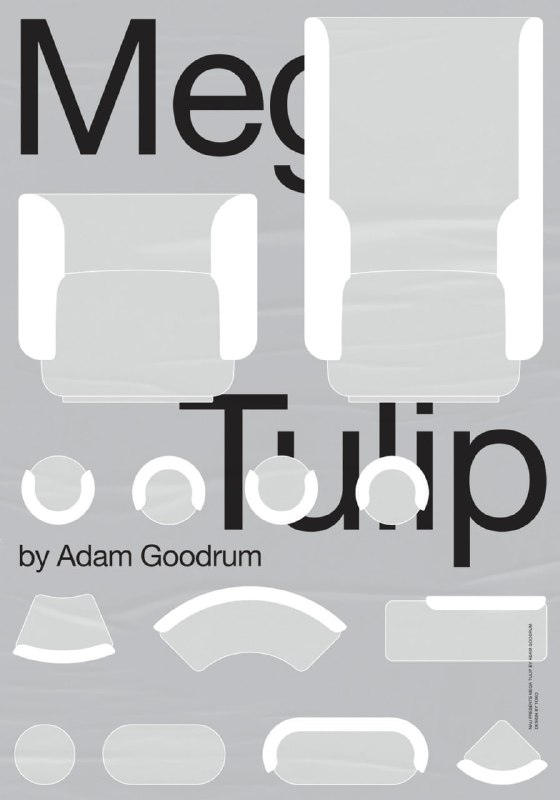 Плакат с каллиграфическими контурами предметов и крупным заголовком «Tulip», монохромная схема и фрагментация элементов.