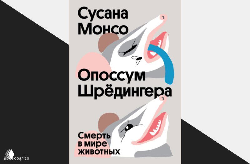 Понимают ли животные, что такое смерть?