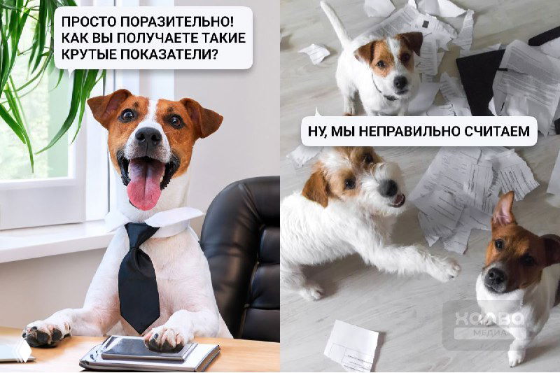 Насмотренность в бизнесе — как избегать чужих ошибок