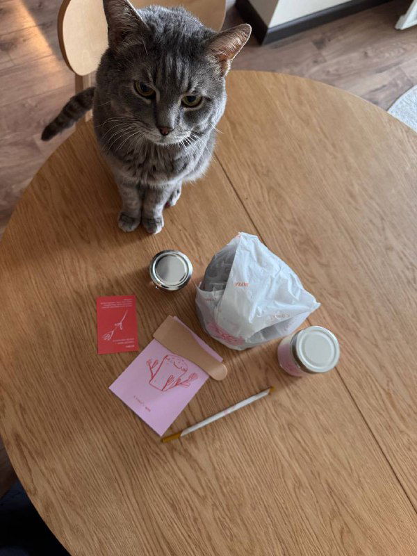 Кот сидит на деревянном столе рядом с пасхальным набором кофейни: бумажный пакет, две металлические баночки, карточка и деревянная палочка.