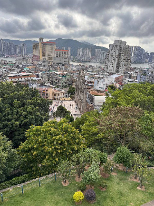 Панорамный городской вид с зелёными насаждениями и плотной жилой застройкой на фоне холмов — общий городской пейзаж Макао и прилегающих районов.