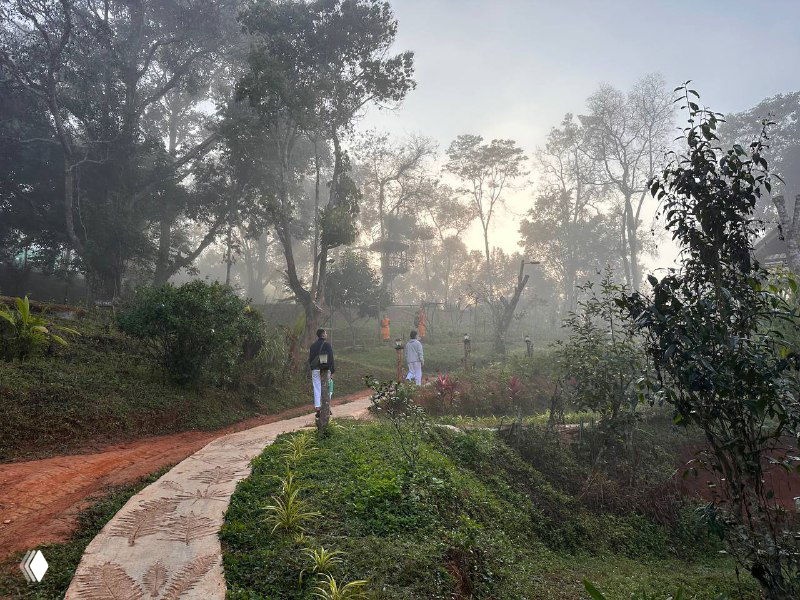 Дорожка и ландшафт ретрита ранним утром: газон, тропинка и люди в белой одежде, идущие по территории среди деревьев и кустарников.